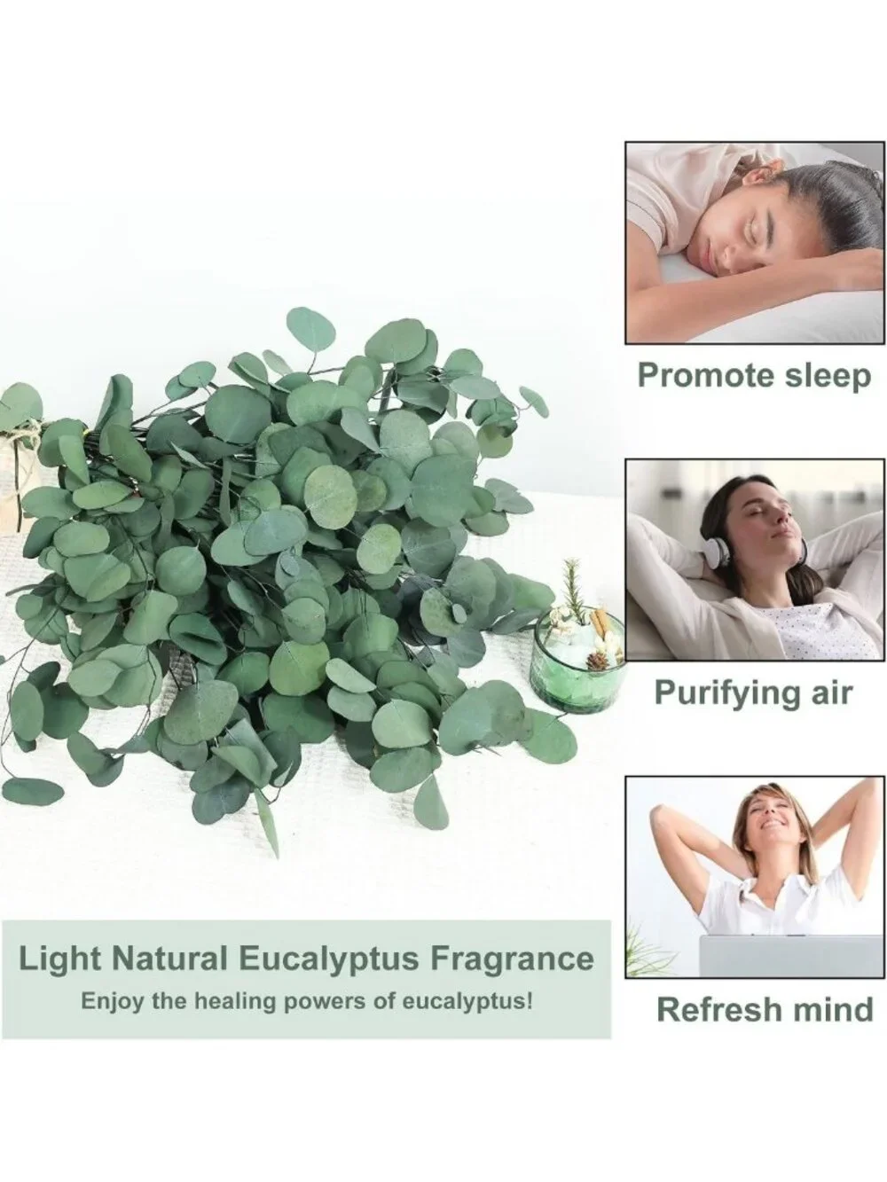 30 Pcs Dried Eucalyptus Stems 17